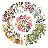 60 Stück Blumen Sticker Set, Natur Pflanze Aufkleber, Transparente Scrapbooking...