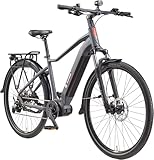 TELEFUNKEN E-Bike Herren 29 Zoll, Elektrofahrrad Mittelmotor, 10-Gang Kettenschaltung,...