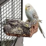HappyBird ® | Kork-Sitzbrett XS für Wellensittiche & Papageien ca. 10-8 cm...