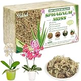 Halatool 1000g Premium Sphagnum Moos für Pflanzen & Orchideen - Organisches Torfmoos...