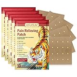 Schmerzlinderung Patch, 50Pcs/10Pack Chinesische Ferninfrarot Pflaste - Schnelle und Lang...