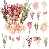 LAUMOE Getrocknete Blumen,Trockenblumen Zum Basteln Mini Trockenblumen Set für DIY...