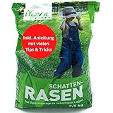 Premium Rasensamen Schattenrasen schnellkeimend Frühling 2,5kg = 70m² | dürreresistent,...