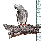 HappyBird ® | Kork-Sitzbrett XXL für Papageien ca. 25 x 15 cm mit Edelstahlschrauben