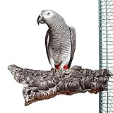 HappyBird ® | Kork-Sitzbrett XXL für Papageien ca. 25 x 15 cm mit...