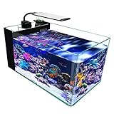 GankPike 38 Liter Salzwasser Aquarium Marine Fish Tank Reef Tank mit Deckel,...