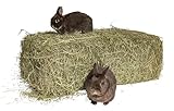 agrar-Store Heu 10kg Heuballen Wiesenheu 1.Schnitt Kaninchenheu Meerschweinchenheu Stroh
