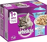 Whiskas 1 + Katzenfutter Ragout – Fisch-Auswahl in Gelee – Abwechslungsreiches...