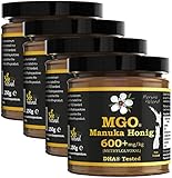BEE NATURAL MGO 600+ PREMIUM MONOFLORAL NEUSEELAND MANUKA HONIG IN EINEM...