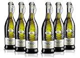 Canti Prosecco DOC Frizzante Schaumwein Wein Trocken 6 Flaschen Prosecco (6 x 0.75 l)