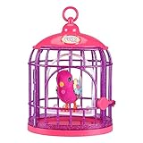 Little Live Pets Lil' Bird + Vogelhäuschen mit Tiara Twinkles: Interaktiver,...