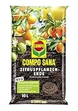 Compo SANA Zitruspflanzenerde mit 12 Wochen Dünger für alle Zitruspflanzen und...