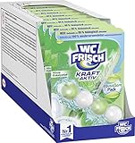 WC FRISCH Kraft Aktiv Pro Nature Minze und Eukalyptus, WC-Reiniger und...