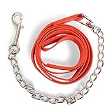 Führkette für Pferde | Sicheres Führen mit Eisenkette & Nylon Handgriff | Führleine...