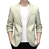Generisch Lässige Anzugjacke Für Herren, Stilvoller Zwei-Knopf-Blazer Aus Wolle, Dünn,...