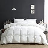APSMILE Daunendecke 220x240 Ganzjahresdecke 100% Baumwolle Bettdecke 240x220 mit...