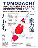 Koifutter, Frühjahrsfutter, Energiefutter Koi, langsam sinkend mit arktischem Fischmehl ,...