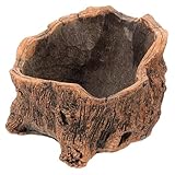 TOYANDONA Zement Pflanzer Vintage Blumentopf für Sukkulenten und Kakteen Dekorativer Topf...