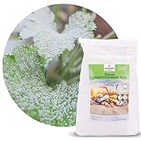 feines Diabas Urgesteinsmehl 12,5 kg von Schicker Mineral, reines Gesteinsmehl...
