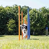 Trixie 3206 Dog Activity Agility Slalom, Kunststoff, ø 3 × 115 cm, 12 St., blau/orange