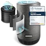 Grundig Luftreiniger Allergiker Air Purifier - Extra leise Hepa Filter + AKTIVKOHLEFILTER...