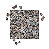 Kieskönig 10 kg Lava Splitt Pflanzgranulat Schneckenschutz Lavastein Lavasteine...