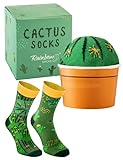 Rainbow Socks - Kaktus Box Socks – Damen Herren Novelty Geschenk Socken für Fans von...