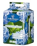 Floragard Endless Summer Hortensienerde blau 20 L • zum Pflanzen und Umtopfen • für...