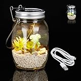 Relaxdays Solarlampe Glas, Solarleuchte 8 LEDs, Warm-& Kaltweiß, USB-Kabel,...