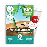 Plantura SF-Nematoden gegen Trauermücken, zum Gießen, hochwirksam & biologisch,...