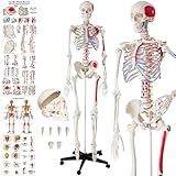 tectake® Anatomie Human Skelett lebensgroß, mit Stand Fuß auf Rollen,...