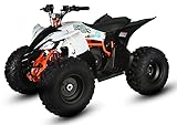 Kayo Kinderquad E-Quad eA110 Spitzenleistung bis 2100W 48V