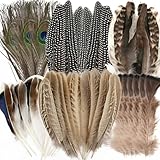 Deepton 48 Stück Federn, Federn zum Basteln, Bastelfedern 5 Stile Deko...