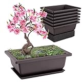 Forhandy 6 Stück Bonsai Schale, Wiederverwendbar Bonsai Topf mit Tabletts, 16.5x12x6cm...