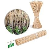 Novatool 200x Splittstäbe 40 cm x 4 mm I Natur I Rankhilfe Tomaten Stangen...