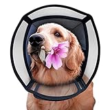 SimpArt -Comfy Halskrause Hund für Haustiere für Genesung nach Operationen...