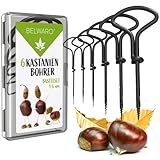 Belwaro® Kastanienbohrer, 6-teiliges Set NEU* mit Aufbewahrungsbox, gehärteten Spitzen -...