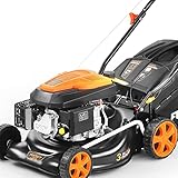 FUXTEC 3in1 Benzin Rasenmäher FX-RM4346 – 3,5PS/2,6kW | 42cm Schnittbreite & 5-stufige...