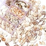 trabag Muscheln Deko Muschel,Muscheln zum Basteln,Spiral Muschel Perlen...