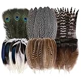 FSSTUD 48-teiliges Vogelfeder-Set, lange natürliche Pfauenfedern, zum Selbermachen,...