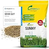 Greenyp® Sunny I dürreresistenter Trockenrasen I 5kg für 200m² I Grassamen...