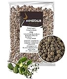 Minotaur Spices | Piment ganz, Pimentkörner | 2 x 250g (500g)