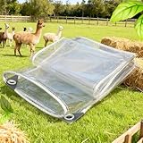 Plane Transparent mit Ösen 120 x 400 cm Wasserdicht Durchsichtig UV Best Ndig, Faltbar...