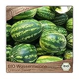 Samenliebe BIO Wassermelonen Samen alte Sorte Crimson Sweet süße Melone rund rot 10...