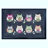 Trendstern Trendprodukteshop Fußmatte Fußabtreter Schmutzmatte Motiv Design Eule OWL...