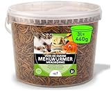 UGF - Premium Mehlwürmer getrocknet 3 Liter Eimer - 460g, Vogelfutter Wildvögel...