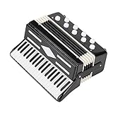 JOFUUM Miniatur Akkordeon Mini Musik Instrument Akkordeon Exquisite Musik Instrumente...