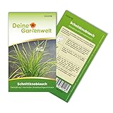 Schnittknoblauch Mehrjährig Samen - Allium tuberosum - Schnittknoblauchsamen -...