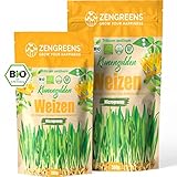 ZenGreens® - Bio Weizen Sprossen Samen - Wähle zwischen 200g und 500g -...