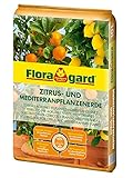 Floragard Zitruspflanzenerde 10 Liter Blumenerde, Erdfarben, 42 x 31 x 5 cm 10 L